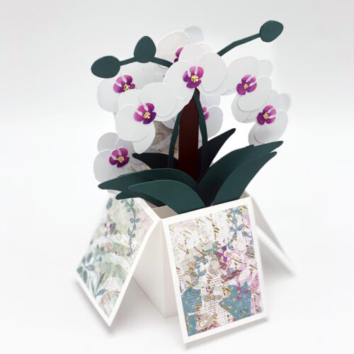 Opulent Orchids Pop Up Card