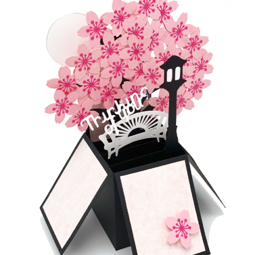 Thinking of You Pop Up Cards